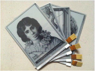 Καλή τιμή. Αρχική οθόνη E Ink 6,0 ιντσών 600×800 SVGA με σύνδεση 34 ακίδων για μονάδα Kindle E Paper σε απευθείας σύνδεση